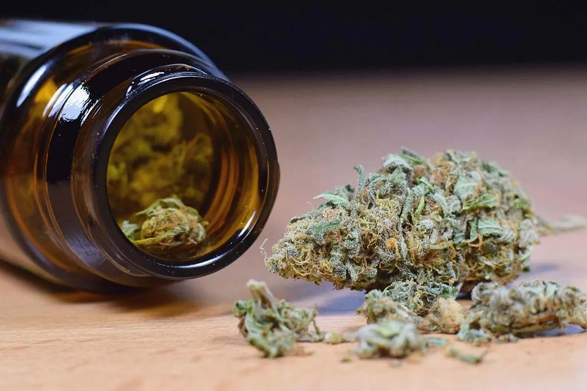 为什么选择大麻花在俄勒冈州出售